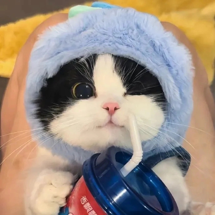 admin的头像-拾阅分享